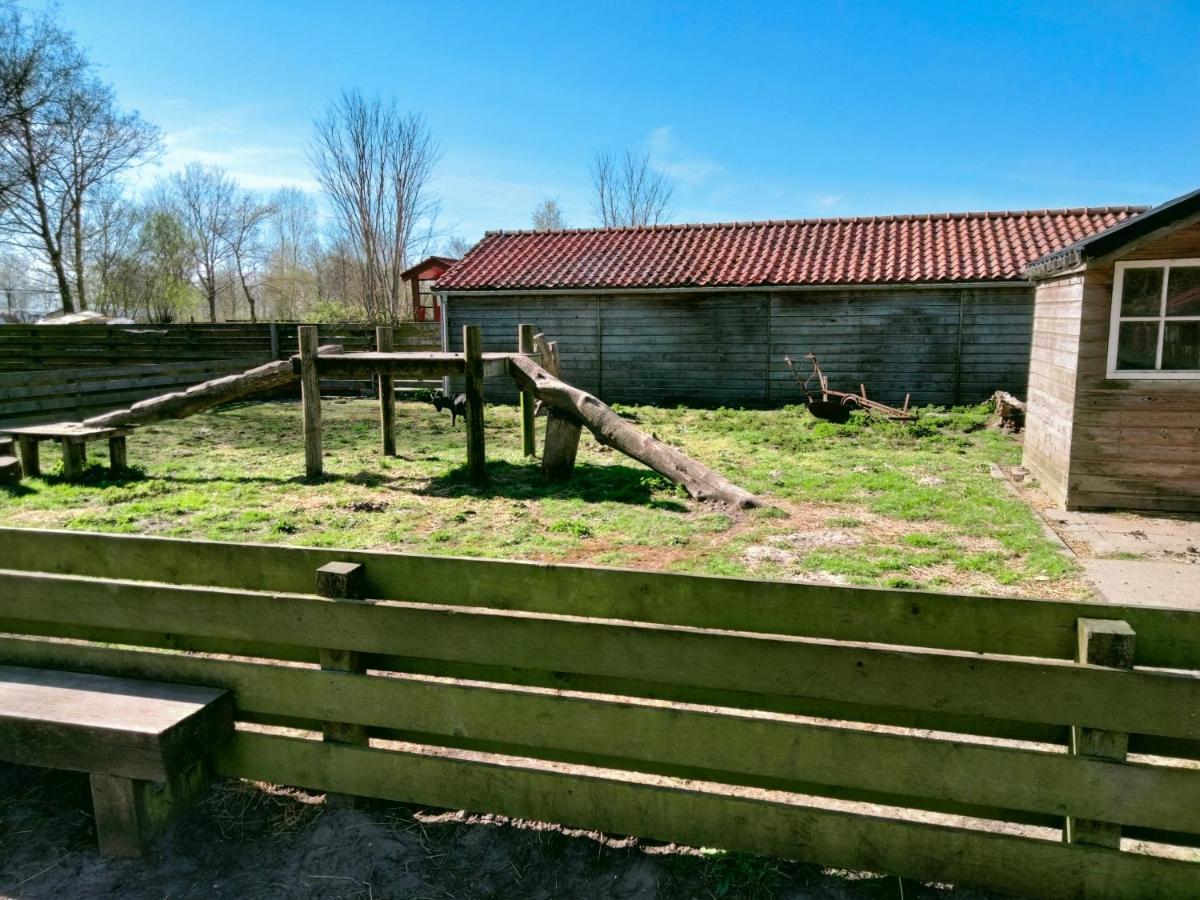 Bj Chalets - Robbengat 68 - Gezellige Chalet Op Vakantiepark Lauwersoog! Vroege Incheck! Exteriör bild